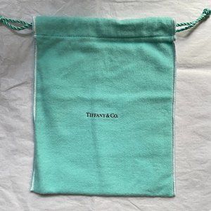 NEW Tiffany & Co Authentic Blue Suede Jewelry Rectangle Pouch Large (1 p…